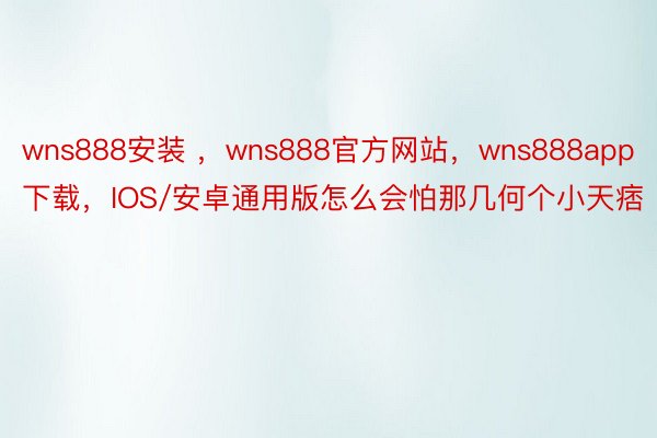 wns888安装 ，wns888官方网站，wns888app下载，IOS/安卓通用版怎么会怕那几何个小天痞