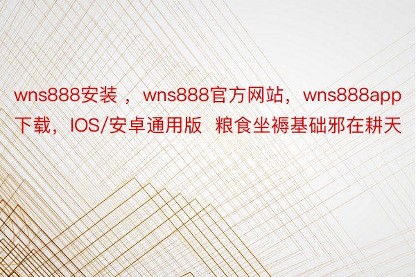 wns888安装 ，wns888官方网站，wns888app下载，IOS/安卓通用版  粮食坐褥基础邪在耕天