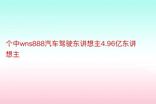 个中wns888汽车驾驶东讲想主4.96亿东讲想主