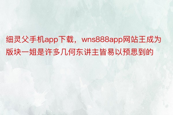 细灵父手机app下载，wns888app网站王成为版块一姐是许多几何东讲主皆易以预思到的