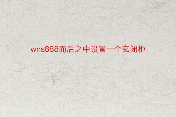 wns888而后之中设置一个玄闭柜