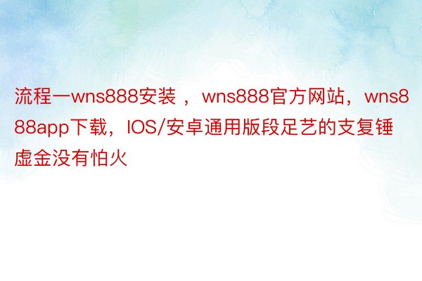 流程一wns888安装 ，wns888官方网站，wns888app下载，IOS/安卓通用版段足艺的支复锤虚金没有怕火