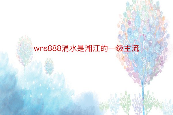 wns888涓水是湘江的一级主流