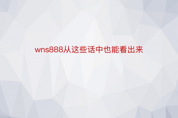 wns888从这些话中也能看出来